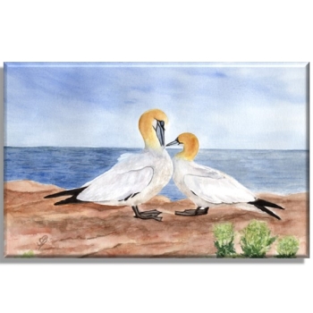 Leinwand 40 x 30 cm Keilrahmen Canvas-Leinen Aquarell Maritim Kunst Druck Kunstdruck Nordsee Insel Helgoland Basstölpel Vögel Lange Anna Felsen